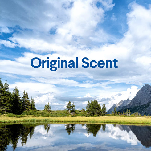 Clorox Clean-Up All Purpose Cleaner with Bleach with Refill - Original Scent, 32 oz. Spray/180 oz. Refill